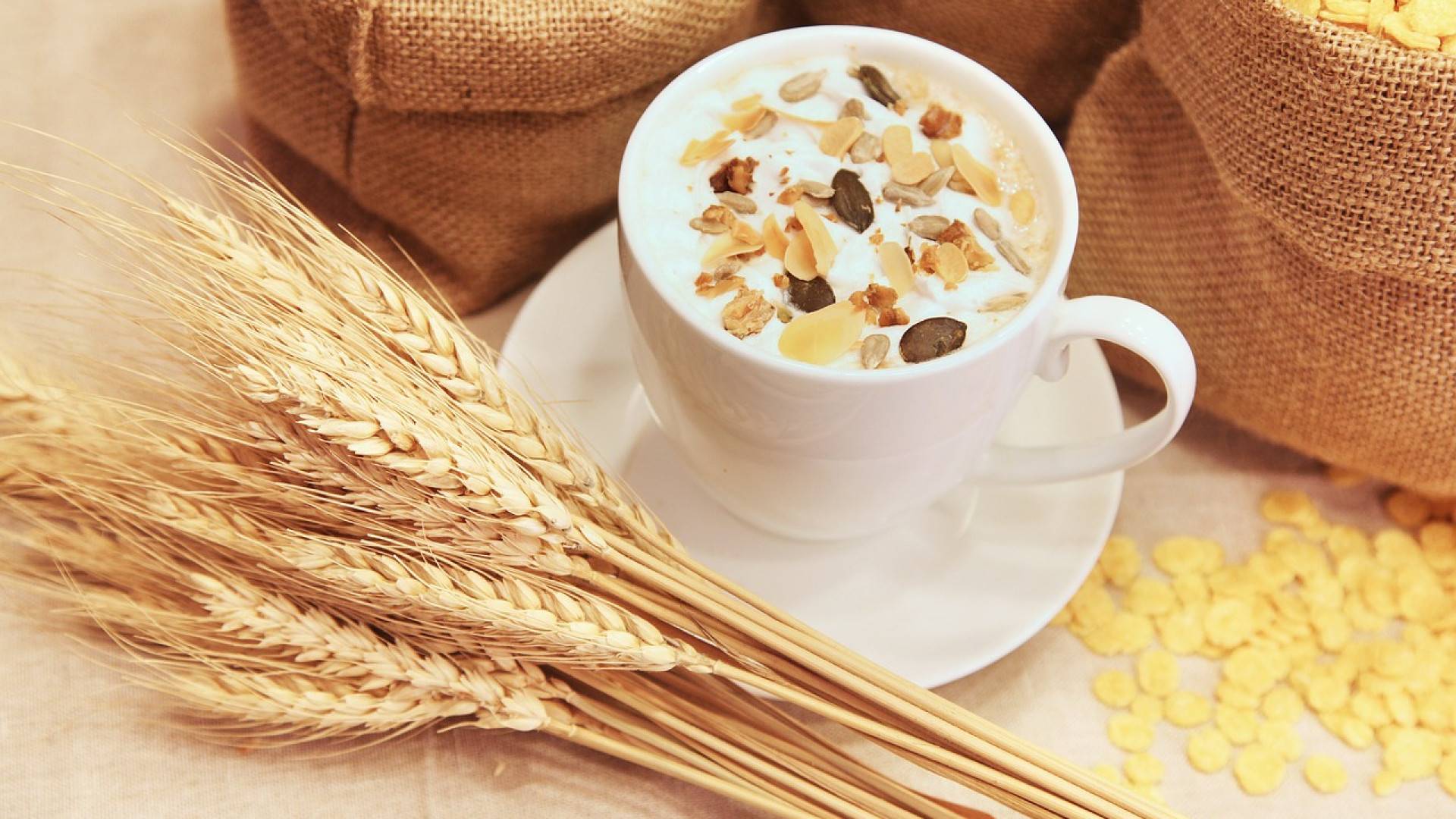 Alimentation : le bio de plus en plus plébiscité en France