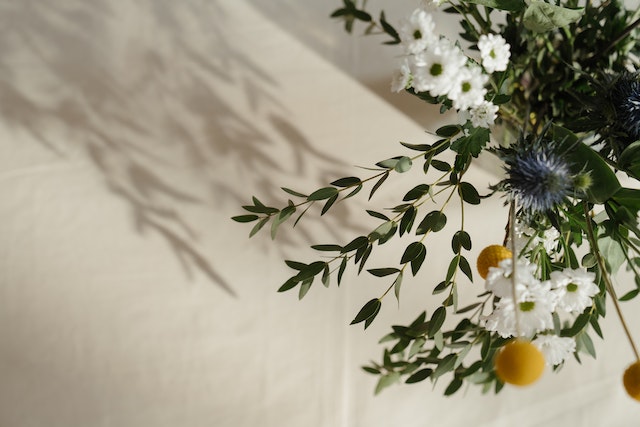 Bouquet de fleurs d’eucalyptus